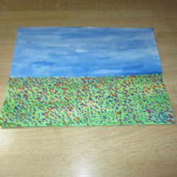 "Campo"