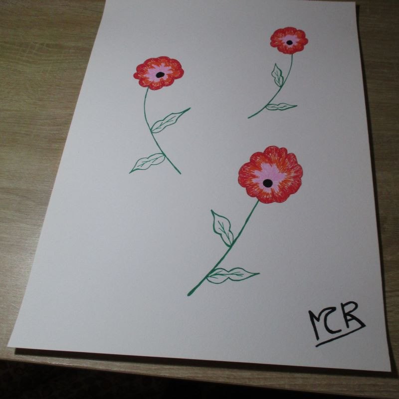 Lámina de acrílico "Amapolas"
