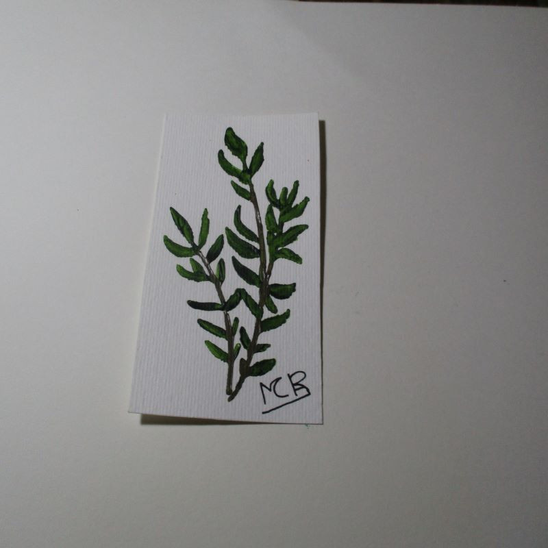 Planta 1