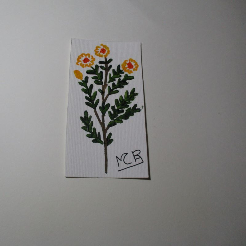 Planta 3