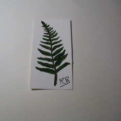 Planta 4