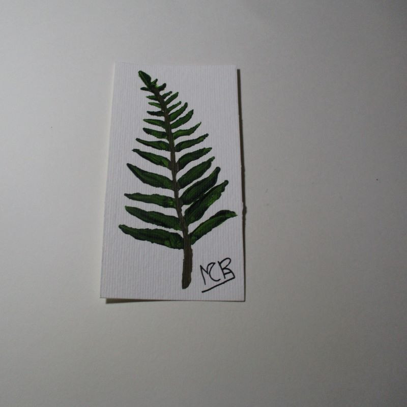 Planta 4
