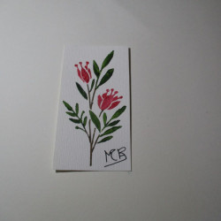 Planta 6