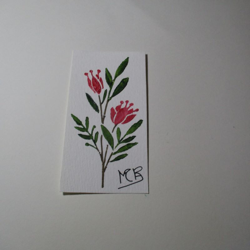 Planta 6