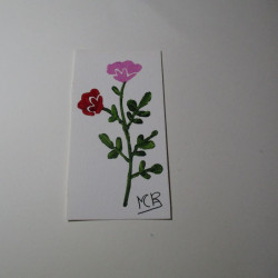 Planta 11