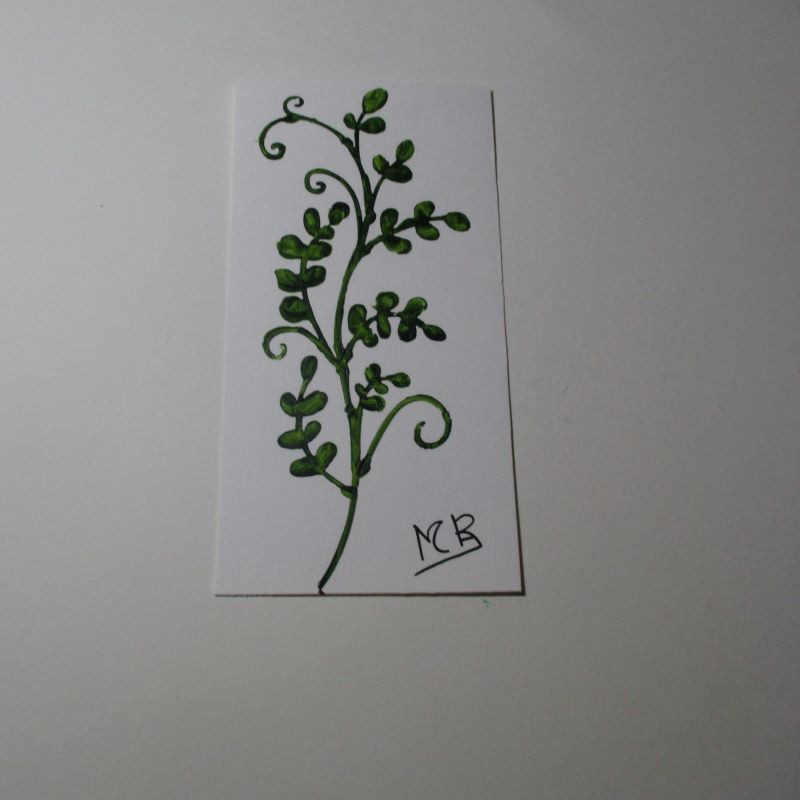 Planta 16