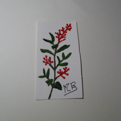 Planta 18