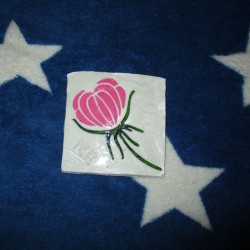 Imán 20