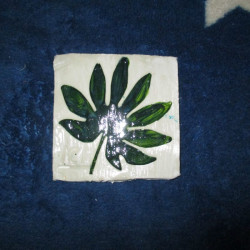 Imán 22