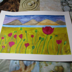 Amapolas