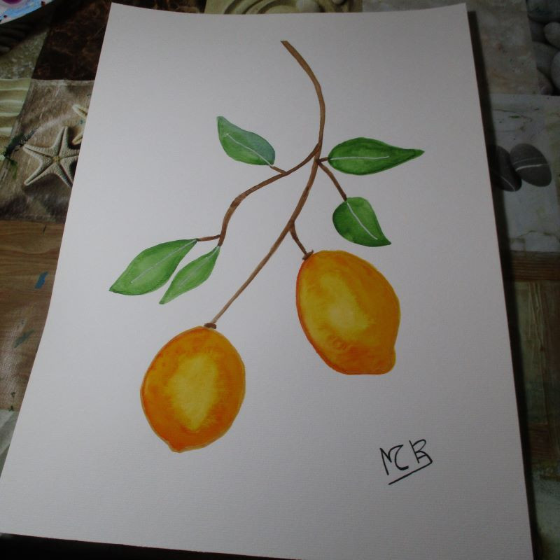 Limones