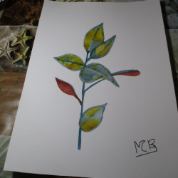 Planta de colores