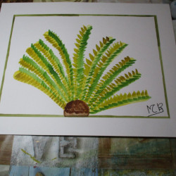 Palmera 2