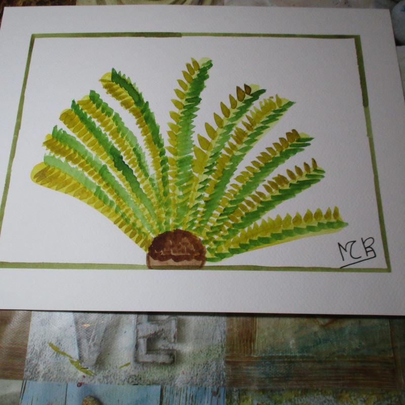 Palmera 2