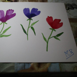 Bonitas flores