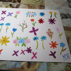 Flores diversas