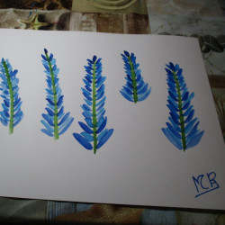 Espigas azules